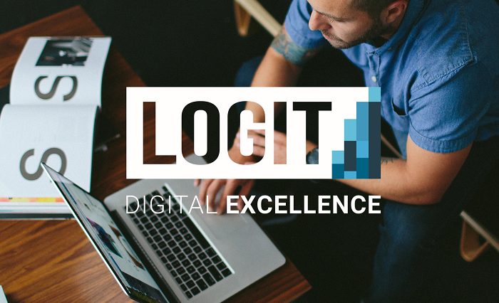 Logit consulting company for mature B2B companies