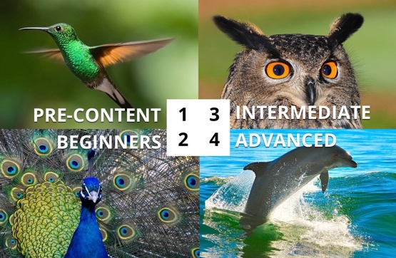 Four Levels of Content Marketing Mastery