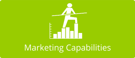 Marketing capabilities